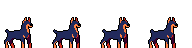 Doberman